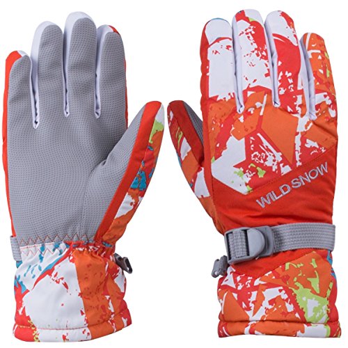 Wild Snow Winter ski gloves