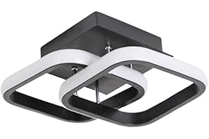 Ioensy LED Ceiling Lamp, Living Room Ceiling Lights, Decorative Lighting Fixtures, Modern Hotel Restaurant, Black Three Color