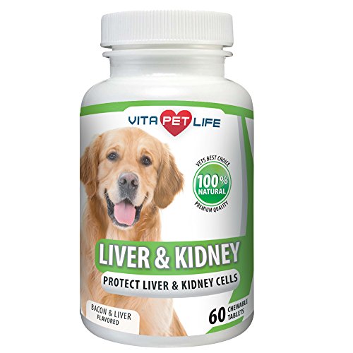 Buy Milk Thistle Liver and Kidney Support for Dogs, Detox, with DHA