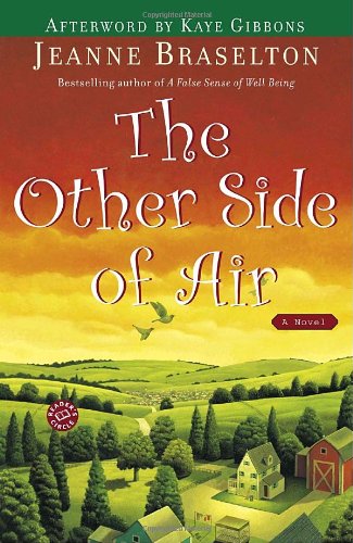 The Other Side of Air: A Novel