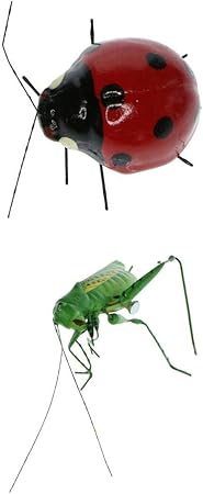 comprar mariquitas amazon