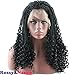 Rossy&Nancy Black Twist Braids Hair Wigs Curly Braided Lace Front Wig with Baby Hair Synthetic Heat Resistant Fiber Glueless Half Hand Tied for Women 16inch