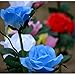 Homeleo Garden Light Up Rose Flower Stake, Outdoor Solar Powered Rose Lights for Garden Patio Backyard Christmas Pathway Driveway Decoration - Blue