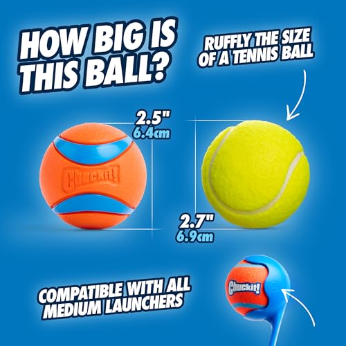 Chuckit! Ultra Balls Medium - Pack of 2 Suitable for all breeds of dog