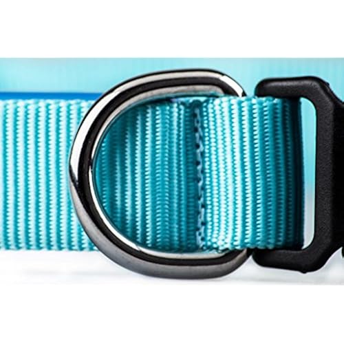 Great-Dealz LED dog Collar to Keep Your Dog Safe Flashing Dog Collar with Extra Batteries Pet Supplies, Dogs, Collars, Harnesses & Leashes, Collars, Basic Collars