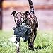Durable Dog Toys for Aggressive Chewers Indestructible Large Dog Toys Funny Dog Squeaky Toys Stuffed Big Dog Toys Plush Pet Toys Tough Dog Toys for Small to Large Dogs (Donkey - 21.5 inches, Grey)