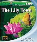 Cover Image for 'Lily Town, The'