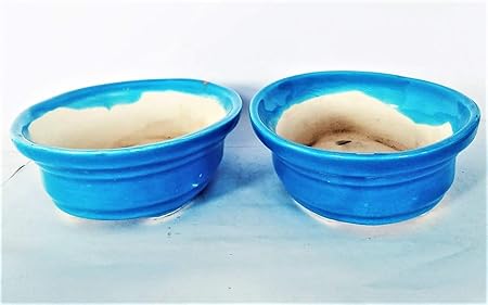 Chamunda Green Ceramic Tray Eiliptacall Sky Blue (Set of 2)