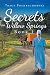 Secrets of Willow Springs (The Amish of Lawrence County Series - Book 1) by 