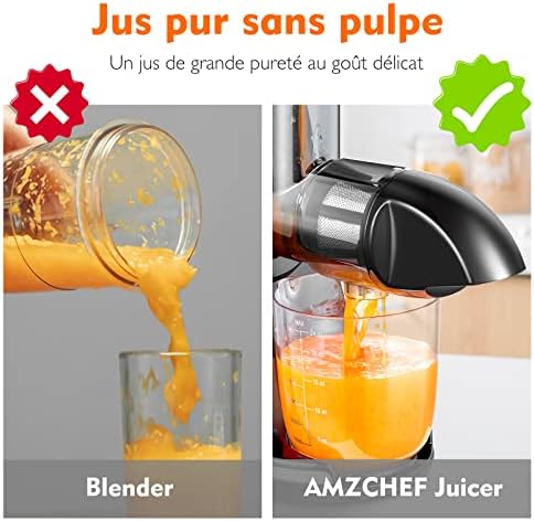 Extracteur Jus - Extracteur de Jus de Fruits et Légumes - Presses-agrumes à Froid sans BPA avec 2 Tasses et Brosse - Fonction de Mastication Inversée pour Éviter les Blocages - Argent