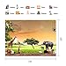 PHMOJEN Africa Prairie Animals Safari Photography Backdrop for Children Theme Party Giraffe Elephants Photo Background Vinyl 7x5ft Studio Props HXPH251