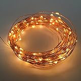 Warm white fairy string lights on copper wire, great for bedroom, homes, gardens, parties, wedding, decor - 100 LEDs - 10m - waterproof lights with plug - Love It Guaranteed!