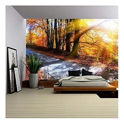 Panoramic Autumn Landscape with Country Road in Orange Tone. Nature Background - Removable Wall Mural | Self-Adhesive Large Wallpaper - 100x144 inches