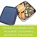 U Konserve - Divided To-Go, Stainless Steel with Removable Dividers, Multiple Containers in One, Ideal for Lunches, Picnics and Travel, Dishwasher Safe (Large, Ocean)