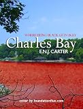 Charles Bay