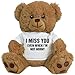 FUNNYSHIRTS.ORG Funny Bear: 8 Inch Teddy Bear Stuffed Animal
