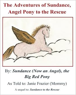 Amazoncom The Adventures Of Sundance Angel Pony To The - 