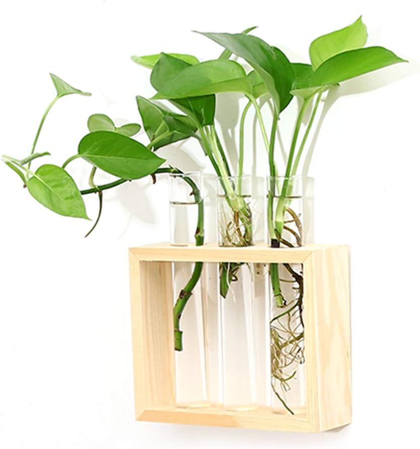 Ivolador Glass Vase Wall Mounted Hanging Test Tube Flower Bud Vase Tabletop Wooden Stand Perfect for Propagating Hydroponic Plants Home Garden Wedding Decoration