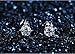 sanfnee Bling Clear Cubic Zirconia Crystal Ear Jackets Stud Earrings Ears Wraps for women