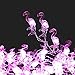 WSgift Pink Flamingo String Lights, 18.7 Ft 40 LED USB Plug-in Copper Wire Flamingo Fairy LED Lights for Various Decoration Projects (Warm White, Remote Control with Timer)