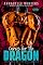Livro Curvas para o Dragão (Curvas para Shifters – Romances Quentes com Metamorfos Livro 1)