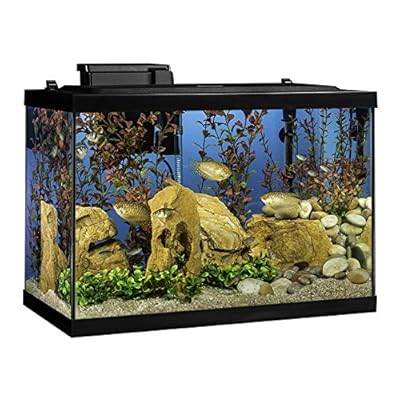Tetra Aquarium