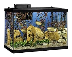 Tetra 20 Gallon Complete Aquarium Kit