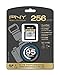 PNY Elite Performance 256GB High Speed SDXC Class 10 UHS-I, U1 Up to 90MB/sec Flash Card - P-SDX256U1H-GE