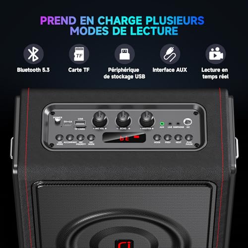 Karaoke Machine with Wireless Microphones HWWR Karaoke with 2 Microphones for Adults Children, Karaoke Systems Accessoires Utiles pour Micro (MS75-Triple Mics)