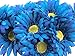 CraftMore Blue Colored Gerbera Daisy Stems 14 Inch Set of 12