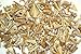 UKGE Kiddos Genuine Bag of Fossilized Shark Teeth