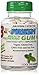 B Fresh Spearmint Gum, 100% Xylitol Sweetened Gum, Natural Gum, Vegan, B12, Aspartame-Free & Sugar Free Gum, 100 Pieces, White Screw On Lid