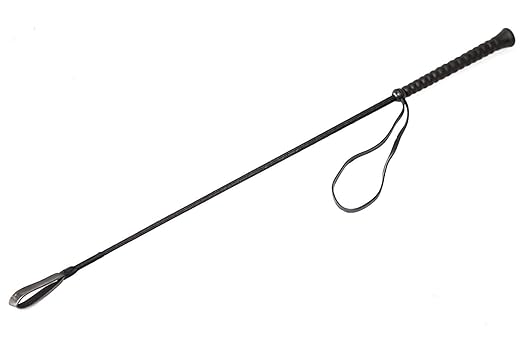 Douge Couture Braided Nylon Dog Training Stick/Horse Riding Crop with Handle (Multicolour, 31-inch)