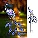 Hannah’s Cottage 31.5” Outdoor Paradise Metal Garden Stake Solar Led Lights, Decorative Solar Peacock Stake for Garden, Patio, Backyard and Outdoor Decorations (Green Blue)