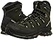 Salomon Men's Quest 4D 2 GTX-M, Iguana Green/Asphalt/Dark Titanium, 12.5 M US