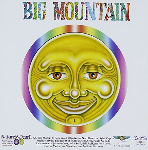 Big Mountain - 1994 - Top 100 - Zortam Music