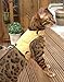 Mynwood Cat Jacket/Harness Caramel Adult Cat