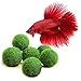 Luffy Nano Betta Balls, 0.4-inches, Live Round-Shaped Marimo Plant, Toys for Betta Fish, Hiding, Rolling, Nibbling, Cleans Aquarium Water & Adds Aesthetic Value to Betta Bowls and Jars, 6-Pieces