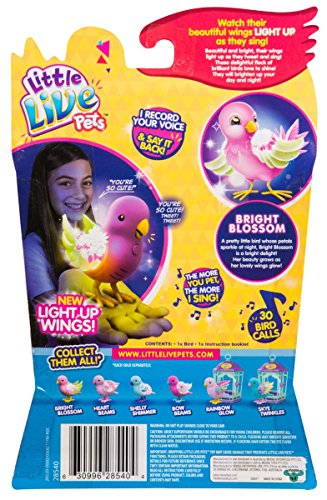 2 Little+Live+Pets+Season+Single