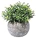 Hibery 3 Pack Artificial Fake Flowers, 7 Branch 21 Heads Artificial Fake Flowers Silk Rose Bouquet Wedding Home Office Floral Decor