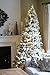 KING OF CHRISTMAS 6 Foot Prince Flock Christmas Tree with 350 UL Warm White LED Lights