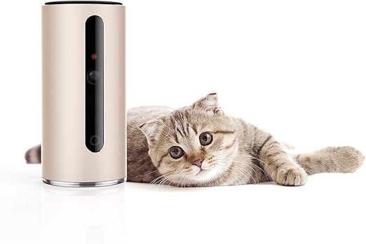 essential minerals for dogs