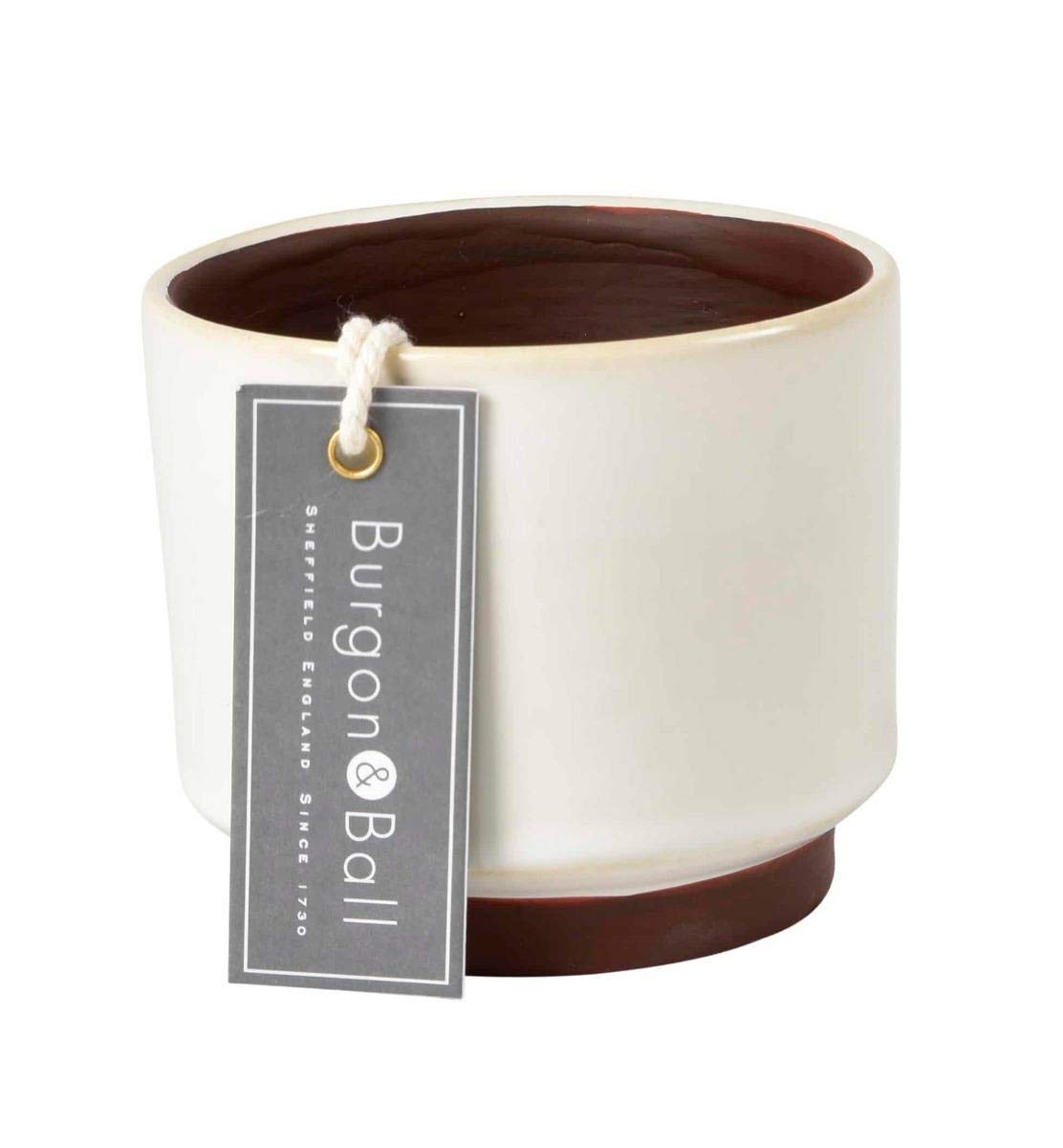 Burgon & Ball Malibu Succulent Planter Plant Pot, Cream