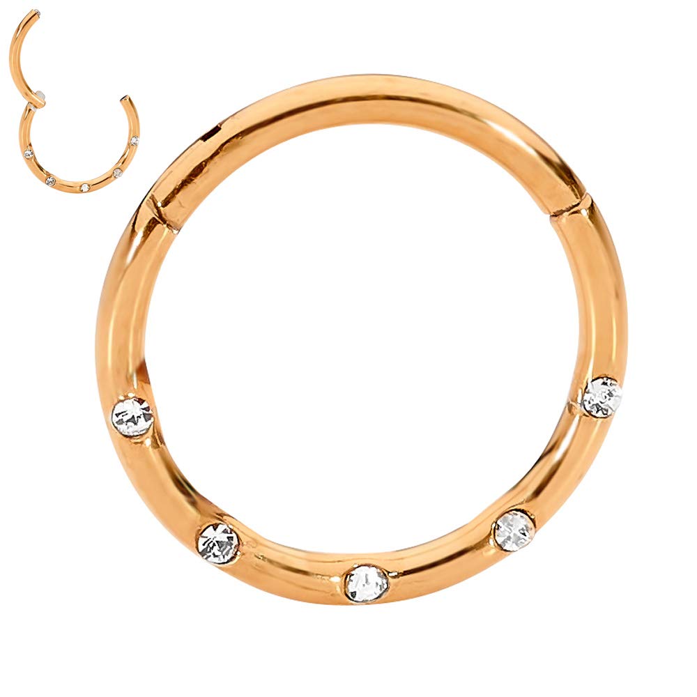 365 SLEEPERS 16G Titanium 8mm 10mm Gem Hinged Segment Ring Helix Tragus Septum Clicker Nose Lip Hoop Unisex Earring Body Piercing Jewellery (8mm)