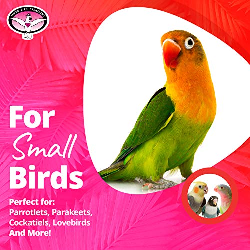 Super Bird Creations SB541 Crinkle Crinkle Little Star Bird Toy, Small