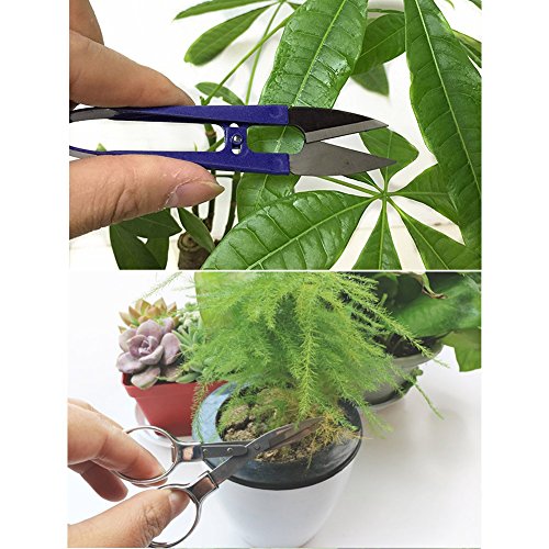 KNASI Bonsai Tools Kit, Succulent Garden Hand Tools For Women and Man, Miniature Indoor Gardening Set 8 pcs in a bag -Include Pruner, Fold Scissors, Mini Rake, Bud, Cleaning Brush & Leaf Trimmer - Thumbnail 4