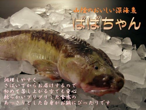 Amazon 山陰の美味しい深海魚 ばばちゃん 1尾 約1 5kg さばいてお届け 感動モノドットコム 生鮮魚介類 水産加工品 通販