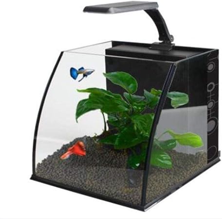 mini desktop fish tank