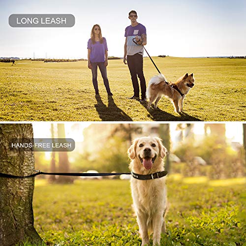 oneisall Hands Free Dog Leash,Multifunctional Dog Training Leads,8ft Nylon Double Leash for Puppy,Small & Large Dogs - Image 8
