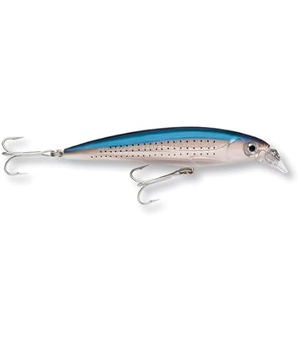 Leurre Rapala X-Rap Saltwater 10 - 4 Pouces 7/16 Oz - Bleu Sardine - Suspension SXR10BSRD